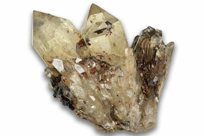 Smoky Citrine Crystal Cluster - Luena, DR Congo #324410